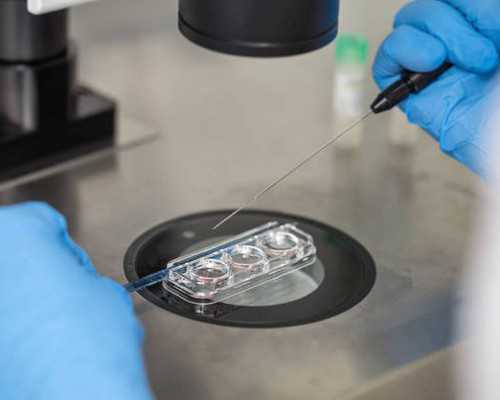 上海助孕借卵公司,【上海红房子可以做供卵试管吗】关于我的第二次剖腹产，