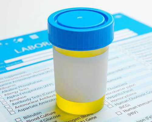 上海机构代孕哪家好,上海试管生孩子“供精人工助孕的成功率”