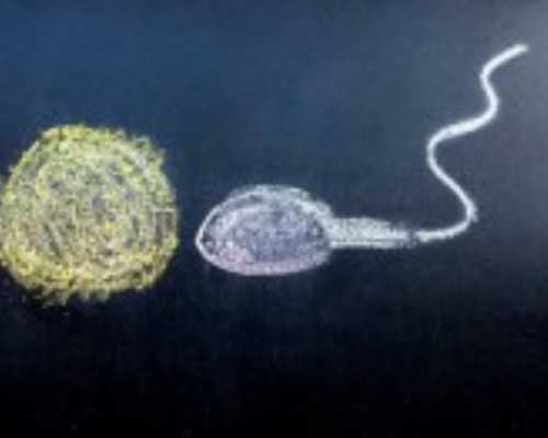 上海正规供卵的,你知道吗？这两个原因会使子宫越来越薄！让上海试管婴儿成