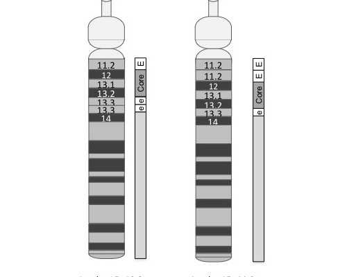 上海试管代孕公立医院,50岁绝经了怎么做试管？能通过试管婴儿成功怀孕吗？