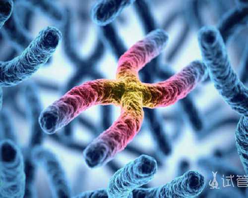 上海有代生机构不,2023年上海集爱和九院哪个试管生男女技术更好？