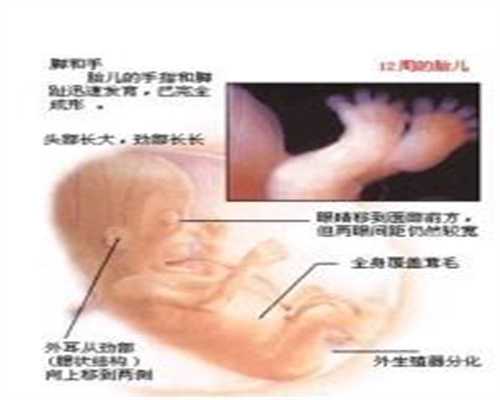 上海代孕助孕机构_上海合法代孕费用多少钱_代孕供卵多少钱_添禧代怀孕套餐