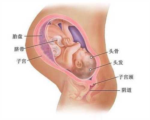 上海代生小孩中心_上海代生小孩可靠吗_孕35周剖腹产会怎么样