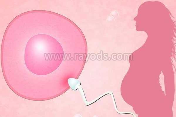 松江供卵试管代生哪家好_多囊卵巢做三代试管婴儿流程步骤是怎样？