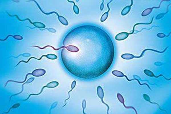 呼和浩特代生机构供卵_选择试管助孕时，男性取精过程需注意这几个点！