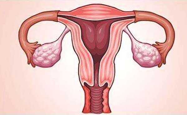 呼和浩特代生机构供卵_选择试管助孕时，男性取精过程需注意这几个点！