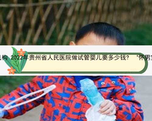 贵州助孕医疗机构 2022年贵州省人民医院做试管婴儿要多少钱? ‘怀男宝宝妈妈