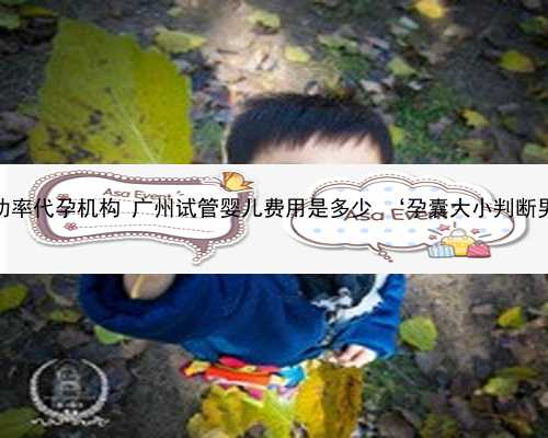 广州高成功率代孕机构 广州试管婴儿费用是多少 ‘孕囊大小判断男孩女孩’
