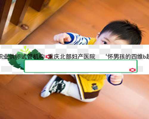 重庆职业供卵试管机构 重庆北部妇产医院? ‘怀男孩的四维b超图’