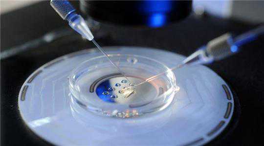 四平试管胚胎代孕_达菲林是什么药？在试管婴儿技术中用于促排阶段的降调节