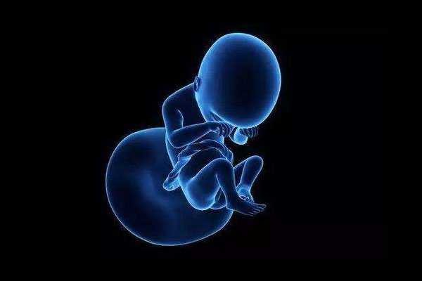 廊坊代孕生殖中心成功率_试管婴儿成功后对胎儿要做什么检查？