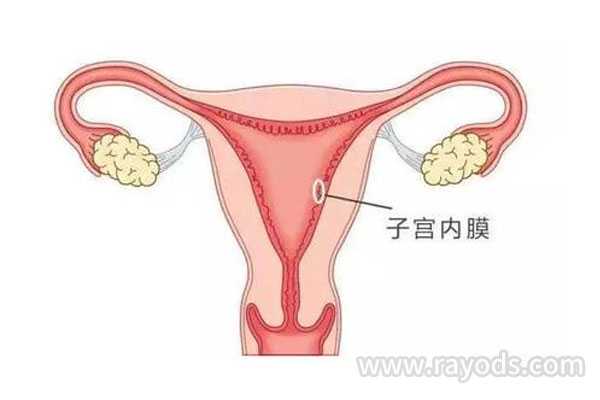 绵阳女人代孕价格_美国试管婴儿女性子宫内膜薄会影响生育吗？