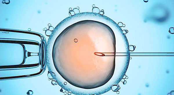  直辖代孕生殖中心是真的吗_ 直辖正规供卵代孕_马来西亚试管助孕成功率案例