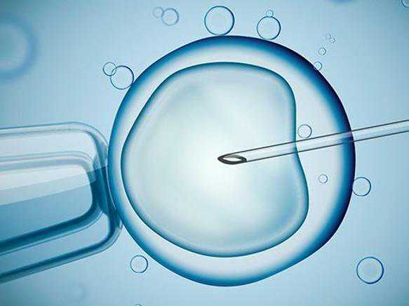 上海朝阳医院取卵后多久短信通知胚胎停止培育？
