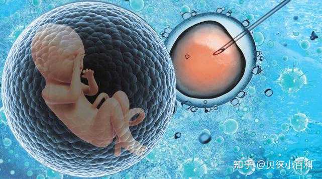 上海一周疫情数据动态流动趋势图,三代试管婴儿胚胎着床失败的几种情况