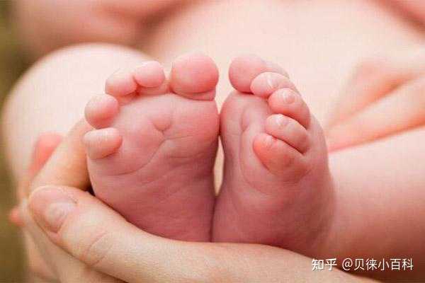 上海瑞金医院试管婴儿成功率高吗,上海哪里可以做试管？上海十大试管医院排